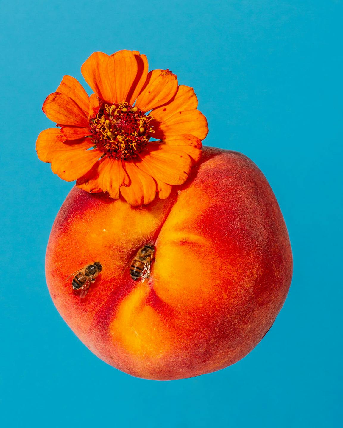 A peach with a flower and insect on it.